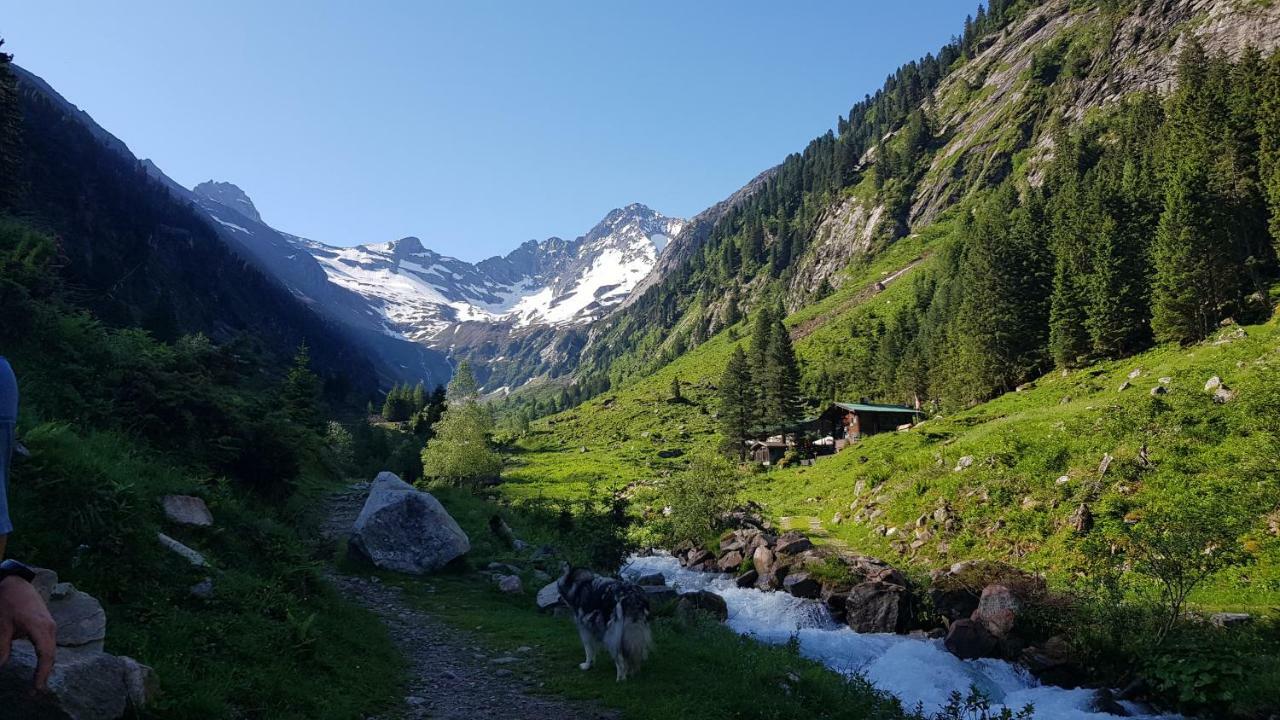 Eberl'S Zirbenlodge Ginzling Kültér fotó