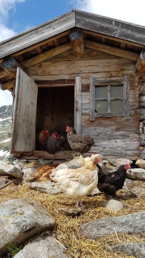 Eberl'S Zirbenlodge Ginzling Kültér fotó