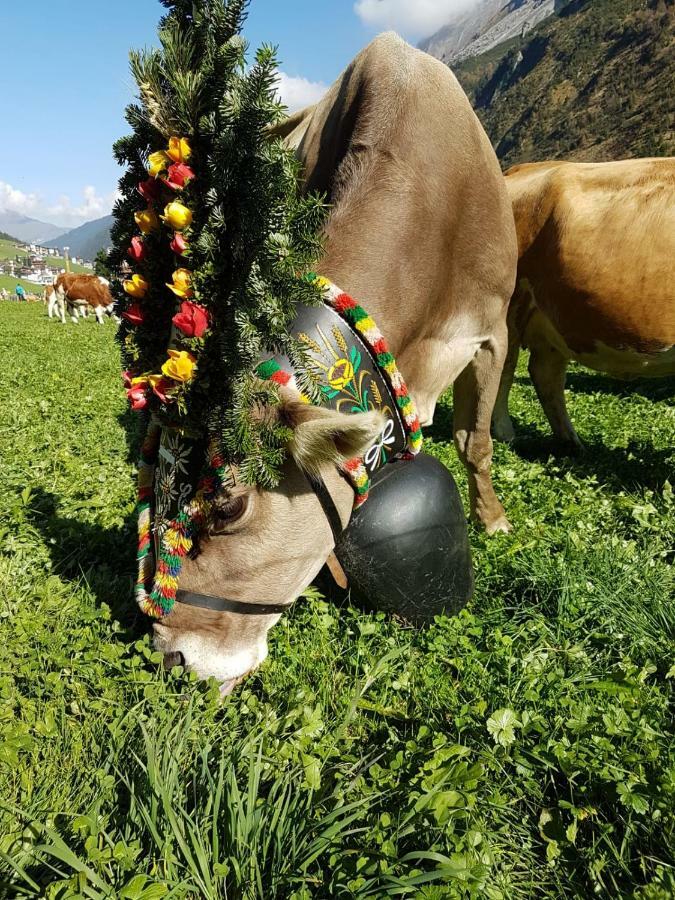 Eberl'S Zirbenlodge Ginzling Kültér fotó